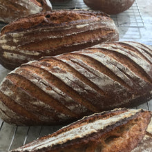 Load image into Gallery viewer, Sourdough Starter